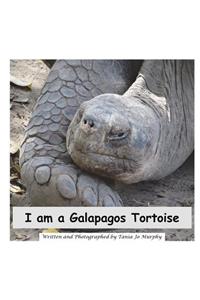 I am a Galapagos Tortoise