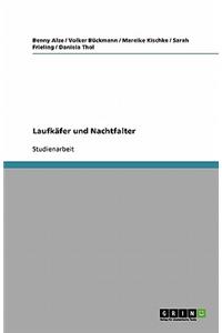 Laufkäfer und Nachtfalter