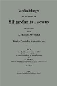 Der Bacillus pyocyaneus im Ohr