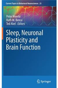 Sleep, Neuronal Plasticity and Brain Function