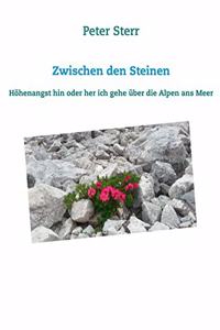 Zwischen den Steinen