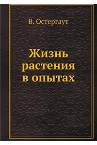 Жизнь растения в опытах