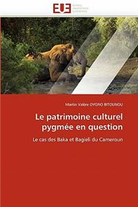 Le Patrimoine Culturel Pygmée En Question