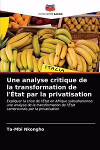 analyse critique de la transformation de l'État par la privatisation