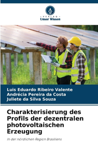 Charakterisierung des Profils der dezentralen photovoltaischen Erzeugung