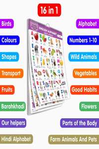 My First ALL IN ONE SPIRAL CHART ENGLISH-HINDI : With 16 Topics ( Big Fonts and Realistic Pictures) | Gift Set For Kids
