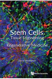 Stem Cells, Tissue Engineering and Regenerative Medicine