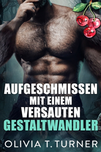 Aufgeschmissen mit einem versauten Gestaltwandler