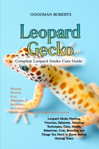 Complete Leopard Gecko Care Guide