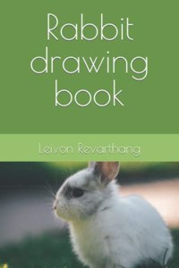 Rabbit drawing book