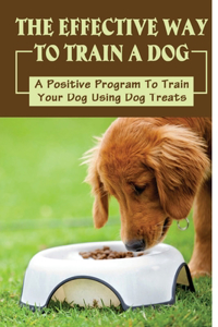 The Effective Way To Train A Dog