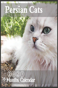 Persian cats