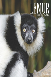 Lemur