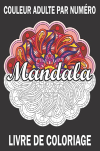 Couleur Adulte Par Numéro Mandala Livre De Coloriage