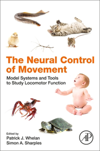 Neural Control of Movement