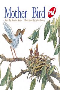 Mother Bird PM Plus Level 4 Red