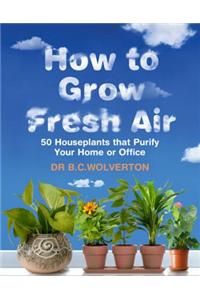 How to Grow Fresh Air