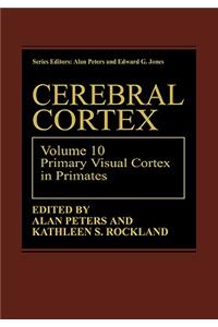 Comparative Structure and Evolution of Cerebral Cortex, Part I