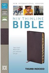 NIV, Thinline Bible, Bonded Leather, Burgundy, Indexed, Red Letter Edition