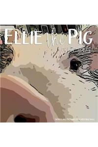 Ellie the Pig goes to school