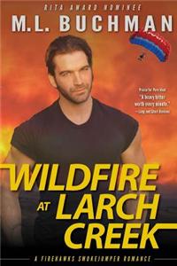 Wildfire at Larch Creek