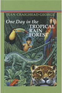 One Day in the Tropical Rainforest
