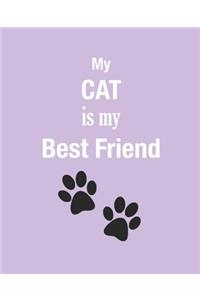 My Cat Is My Best Friend