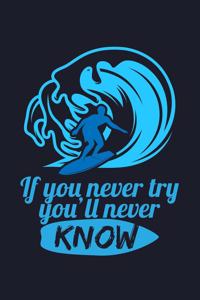 If You Never Try You'Ll Never Know