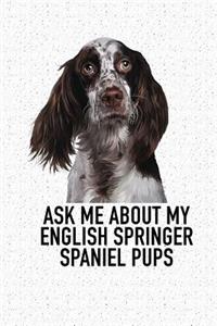 Ask Me about My English Springer Spaniel Pups