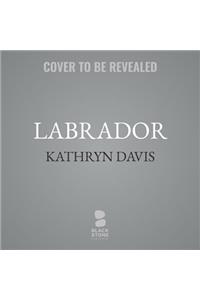 Labrador