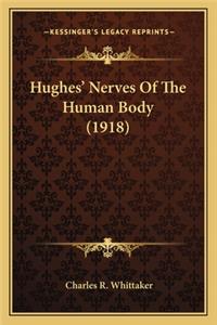 Hughes' Nerves of the Human Body (1918)