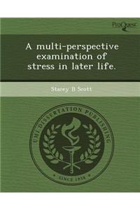 A Multi-Perspective Examination of Stress in Later Life