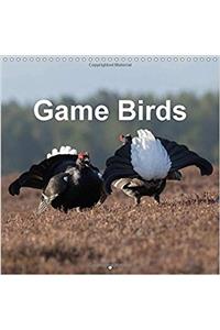 Game Birds 2017