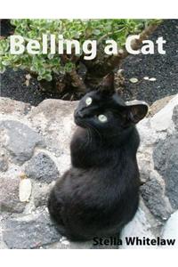 Belling a Cat