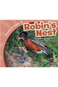 Look Inside a Robin's Nest