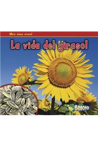 La Vida del Girasol