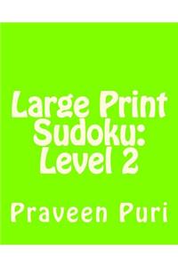 Large Print Sudoku
