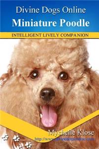 Miniature Poodles