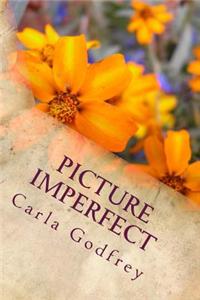 Picture Imperfect