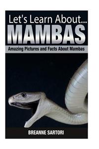 Mambas (Lets Learn About)