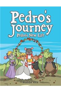 Pedro's Journey