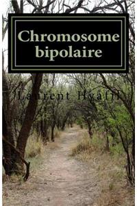 Chromosome bipolaire