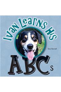 Ivan the Entlebucher Mountain Dog