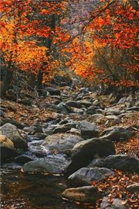 A Beautiful Autumn Day in the Woods Journal