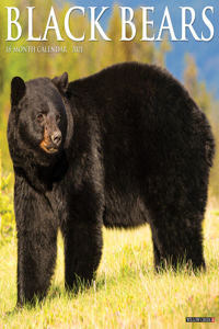 Black Bears 2021 Wall Calendar