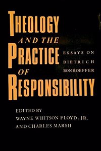 Theology and the Practice of Responsibility