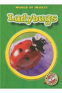 Ladybugs