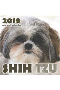 Shih Tzu 2019 Mini Wall Calendar