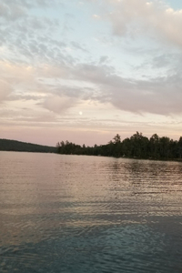 Cloudy Bay Journal