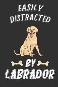 Easily Distracted by Labrador